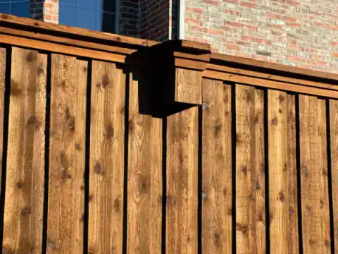 Cedar privacy fence follows the edge of a sunny backyard.