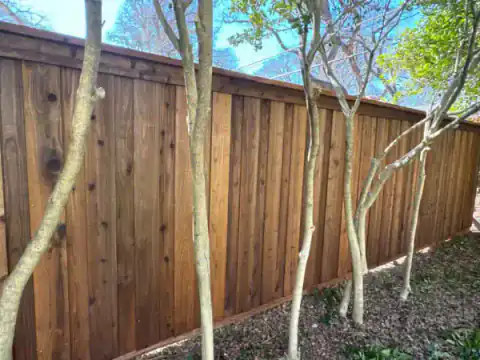 Cedar fence follows a tree-lined residential boundary.