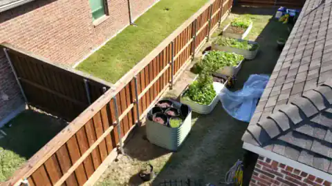 Aerial view of cedar privacy fencing around a side yard.