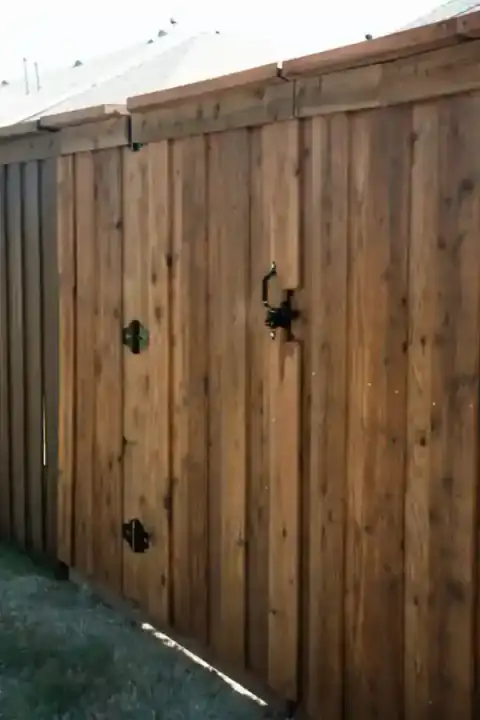 Cedar gate with black hardware closes a backyard passage.