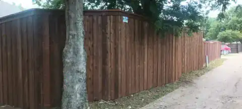 Cedar fence wraps around a mature backyard tree.