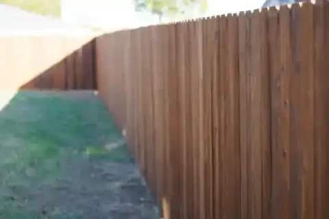Cedar privacy fence close-up beside a residential lawn.