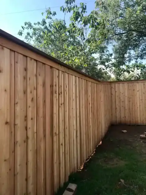 Cedar privacy fence close-up shows warm natural grain.